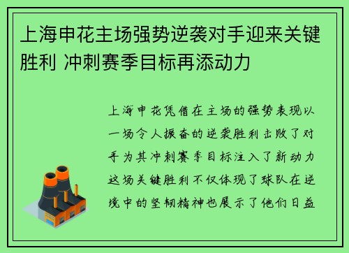 上海申花主场强势逆袭对手迎来关键胜利 冲刺赛季目标再添动力