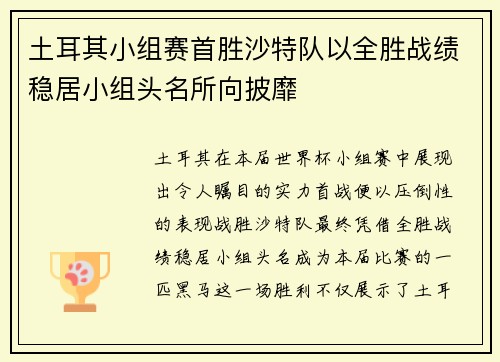 土耳其小组赛首胜沙特队以全胜战绩稳居小组头名所向披靡