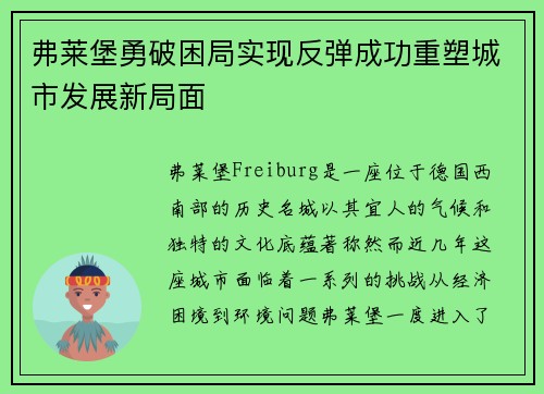 弗莱堡勇破困局实现反弹成功重塑城市发展新局面