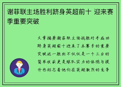 谢菲联主场胜利跻身英超前十 迎来赛季重要突破